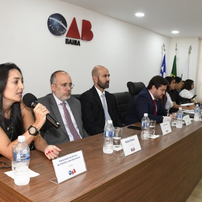 [OAB-BA realiza segunda audiência pública sobre Varas de Família e Sucessões]